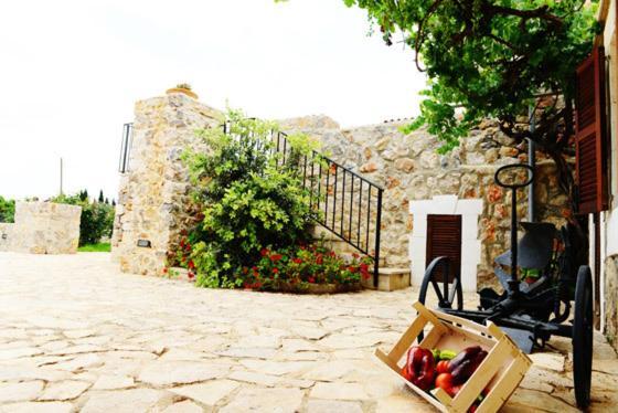 Holiday Home Finca Son Ramon Llubí Exterior foto